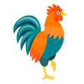 Rooster vector illustration