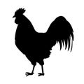 Rooster vector illustration silhouette.Rooster bird