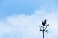 Rooster weather vane on blue sky