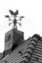 Rooster weather vane Royalty Free Stock Photo