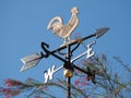 Rooster weather vane show the wind Royalty Free Stock Photo