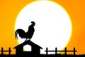 Roosters crow stand on housetop Royalty Free Stock Photo