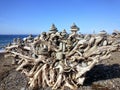 Stump of Stacked Stones Dungeness Spit