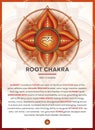 ROOT CHAKRA Muladhara: Chakra symbol infographic with detailed description & characteristics Royalty Free Stock Photo