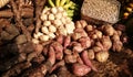 Root crops agriculture, sweet potato Philippines Royalty Free Stock Photo