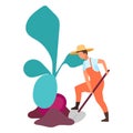 Root crops harvesting flat vector illustration. Farmer digging big beetroot. Autumn harvest concept. Farm worker working on field