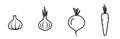 root crops line icon set. carrots, garlic, beetroot and onion. vegetable, agriculture and harvest symbols