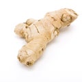 Root Ginger