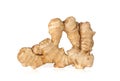 Root ginger, Zingiber officinalis. Royalty Free Stock Photo