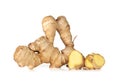 Root ginger, Zingiber officinalis.