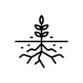 Black line icon for Root, rootlet and sprout Royalty Free Stock Photo