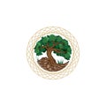 Root leaves tree logo for agriculture landscaping planting medical spa company