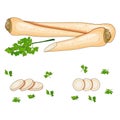 Root parsley for banners, flyers, posters, social media. Half root parsley and sliced. Organic, healthy, diet