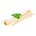 Root parsley for banners, flyers, posters, social media. Whole root parsley and half. Fresh organic and healthy, diet