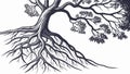 Root System of Old Tree, Botanical Structure, Earth Connection, vector design Generative AI Royalty Free Stock Photo
