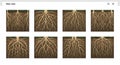 Root System Variations: Diverse Underground Texture and Structures Collection Royalty Free Stock Photo