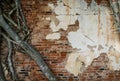 Root trees overgrown cracked vintage red brick wall background