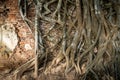 Root trees overgrown cracked vintage red brick wall background