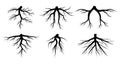 Root vector set isolated on white background. Tree roots system silhouettes collection. Underground growing fibrous structure. Royalty Free Stock Photo