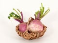 Root vegetables Royalty Free Stock Photo