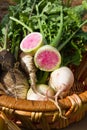 Root vegetables in basket