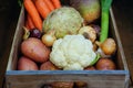 Root vegetables Royalty Free Stock Photo