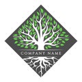 Rooted tree logo