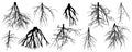 Roots of different trees, set. Rootage. Vector illustration Royalty Free Stock Photo