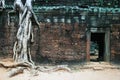 Roots and doorway, Ta Phrom, Cambodia