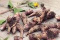 Roots of fresh organic topinambur or jerusalem artichoke Helianthus tuberosus with dirt on wooden background. Diabetic friendly fo