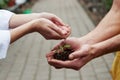 Roots gets support. Woman hands watering the little plant that holding by a men Royalty Free Stock Photo