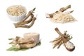 Roots, grated and cut horseradish roots isolated on white, collage design Royalty Free Stock Photo