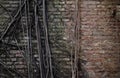 Roots on the old brick wall Royalty Free Stock Photo