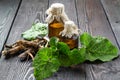 Roots and leaves of burdock Arctium lappa, burdock oil in bott Royalty Free Stock Photo