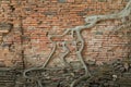 The roots of old brick wall Royalty Free Stock Photo
