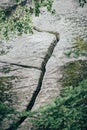 The roots of an old tree in a charming forest