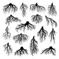 Roots of tree  bushes  shrubs black silhouettes set. Rootstock  rhizoma  creeping underground stem Royalty Free Stock Photo