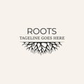 roots tree silhouette icon vector logo design Royalty Free Stock Photo