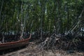 The roots of the trees and the boat. Peninsula of Railay. Krabi, Thailand. Royalty Free Stock Photo