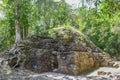 Mayan Temple covered by roots and trees in the mayan Rainforest