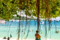 Roots of a tropical tree hanging near the beach in Phi Phi Island Royalty Free Stock Photo