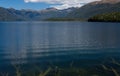 Roots underwater in the foreground with mountains in the background at Lake Monowai in the South Island in New Zealand