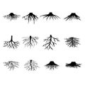 Roots vector icon set. tree illustration sign collection. herbs symbol.