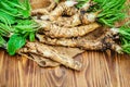 Roots of young horseradish on a wooden background. Royalty Free Stock Photo