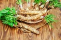 Roots of young horseradish on a wooden background. Royalty Free Stock Photo