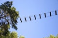 Rope adventure park in a summer forest scenic blue sky scenery. Overcoming obstacles and reaching heights abstract concept