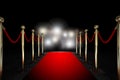 Rope barrier with red carpet and flash light Royalty Free Stock Photo