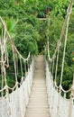 Rope bridge