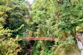 Rio Tigre waterfall in the jungle of Oxapampa in Peru