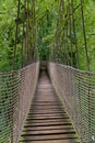 Rope bridge - Alnwick Gardens UK